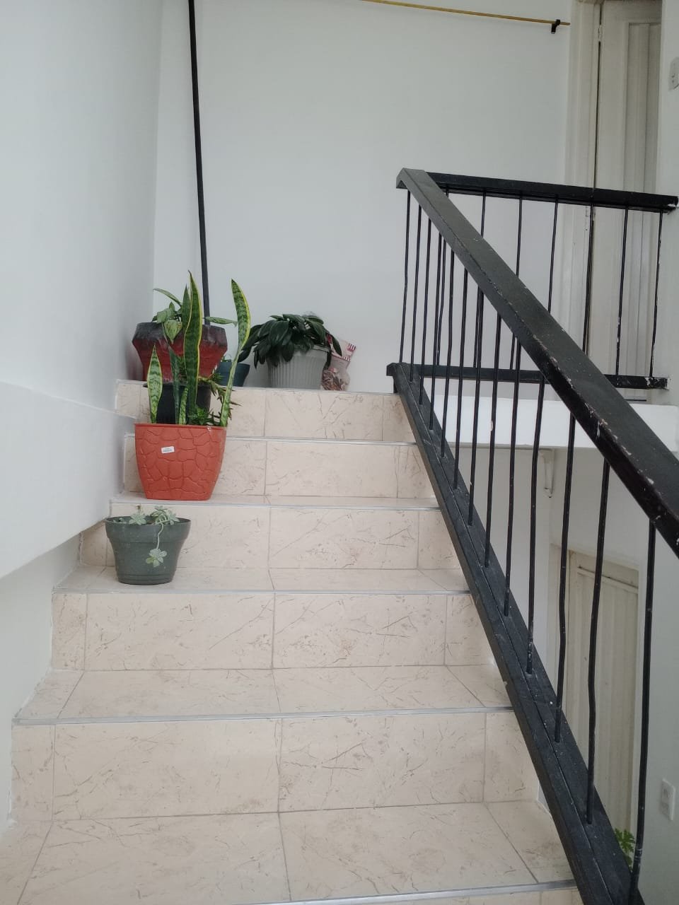 Logotipo de la empresa